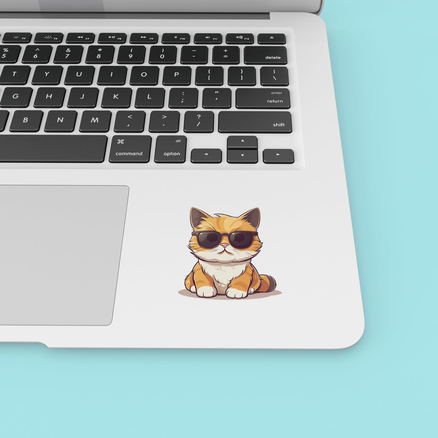 Cat in glasses 02 - Laptop Sticker