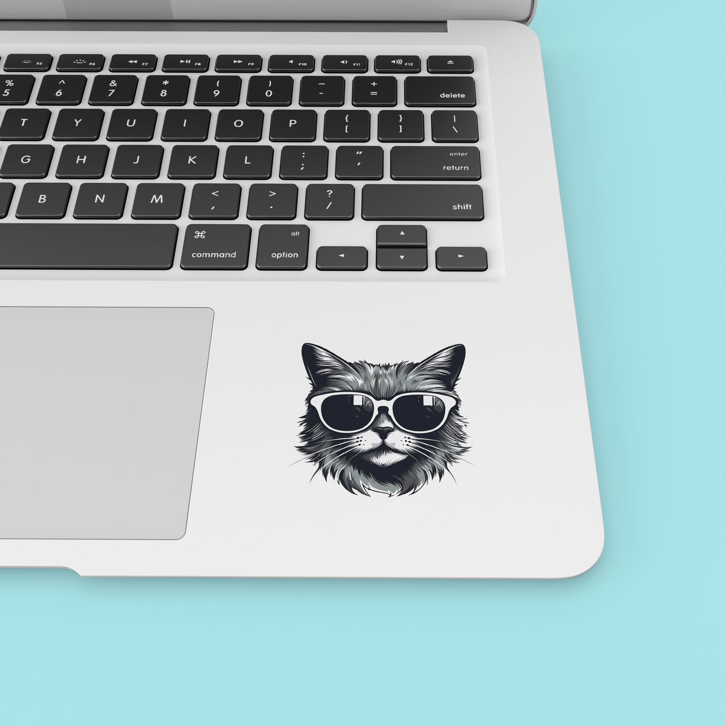 Cat in glasses 03 - Laptop Sticker