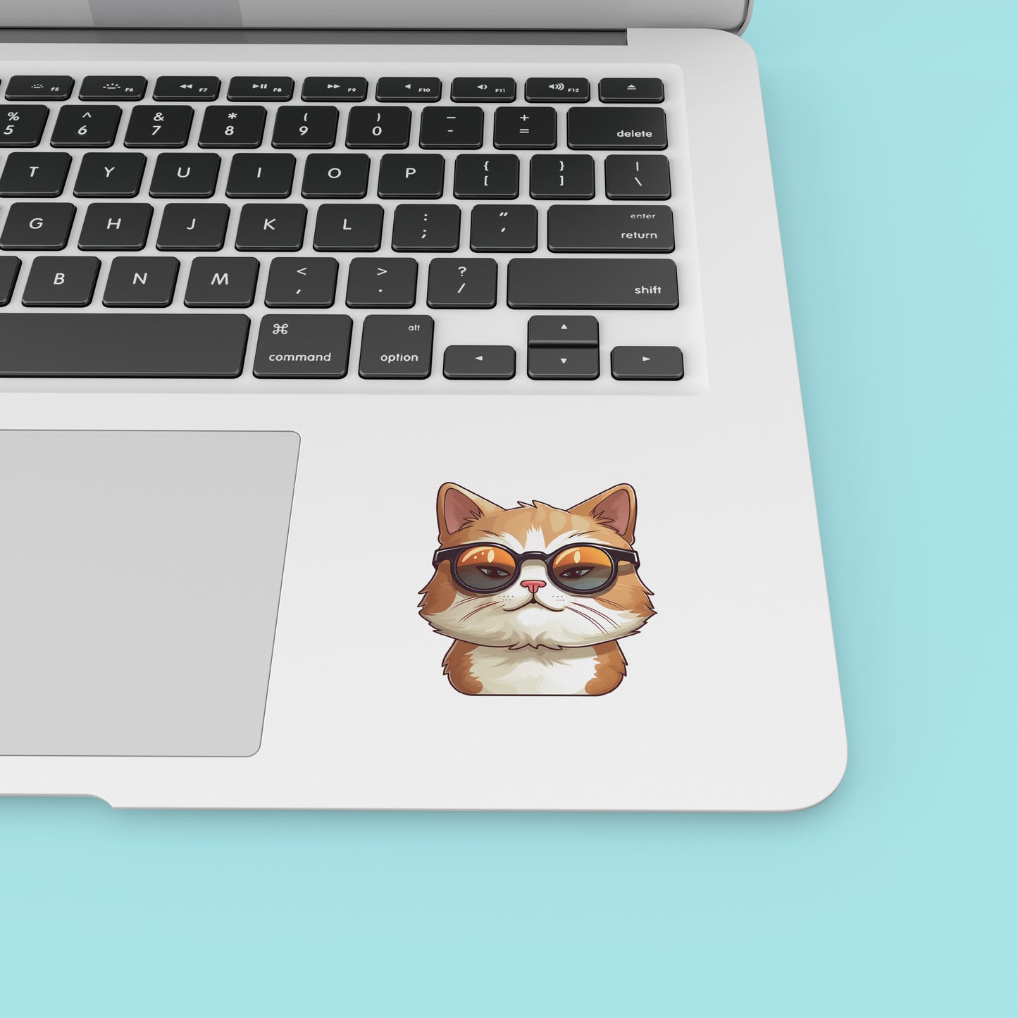 Cat with glasses- Laptop Sticker