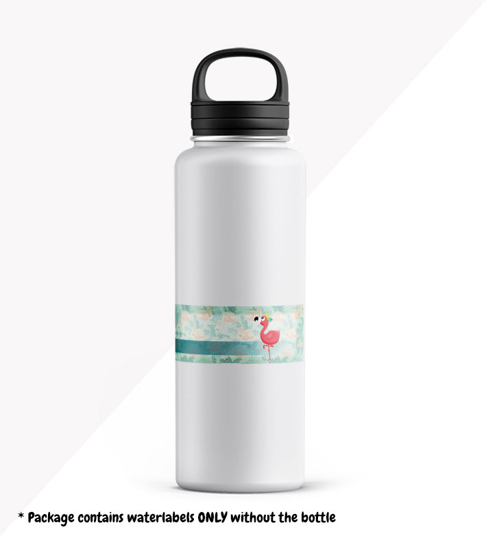 Flamingo - School Package