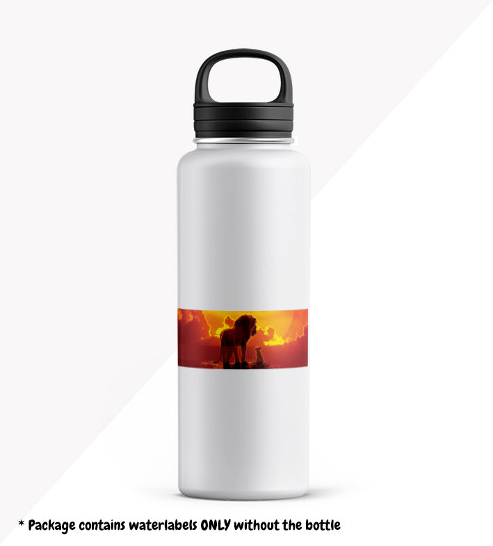 The Lion King - School Package