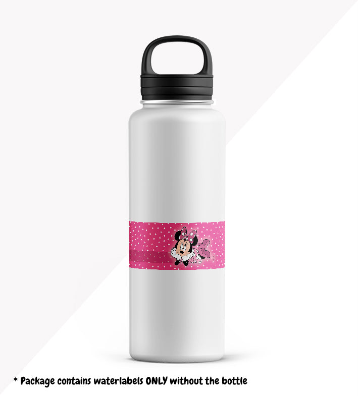 Minnie Mouse - School Package