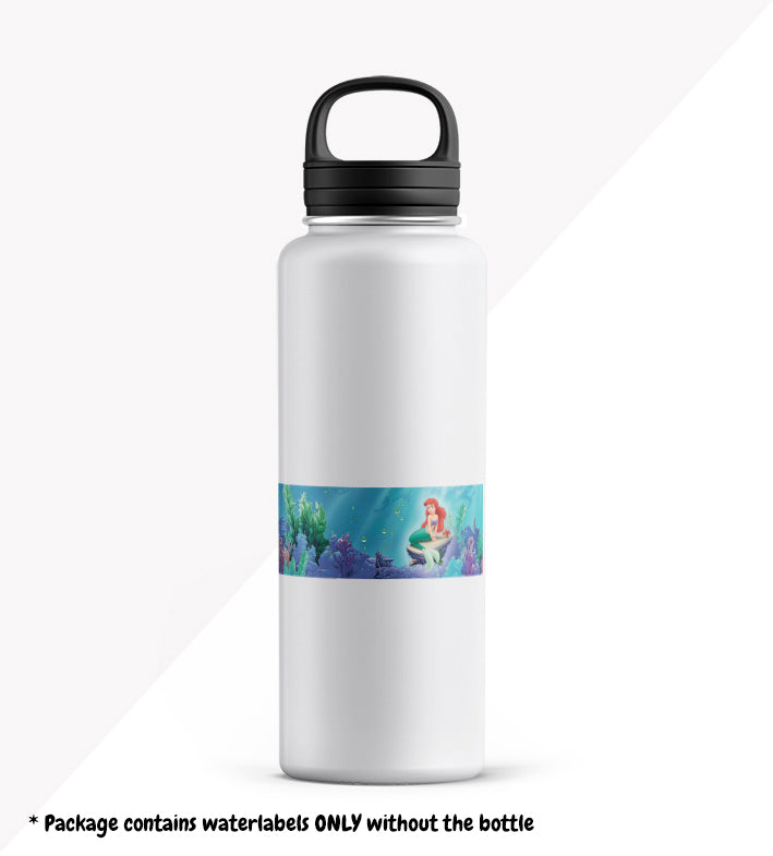 Ariel - School Package